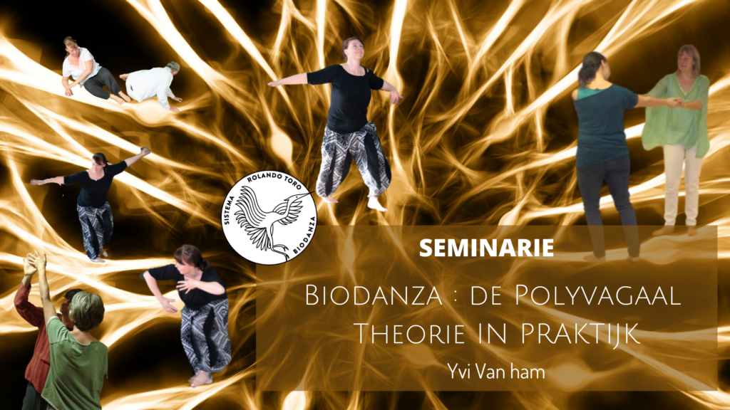 Biodanza: de Polyvagaal Theorie in de praktijk - Seminarie
